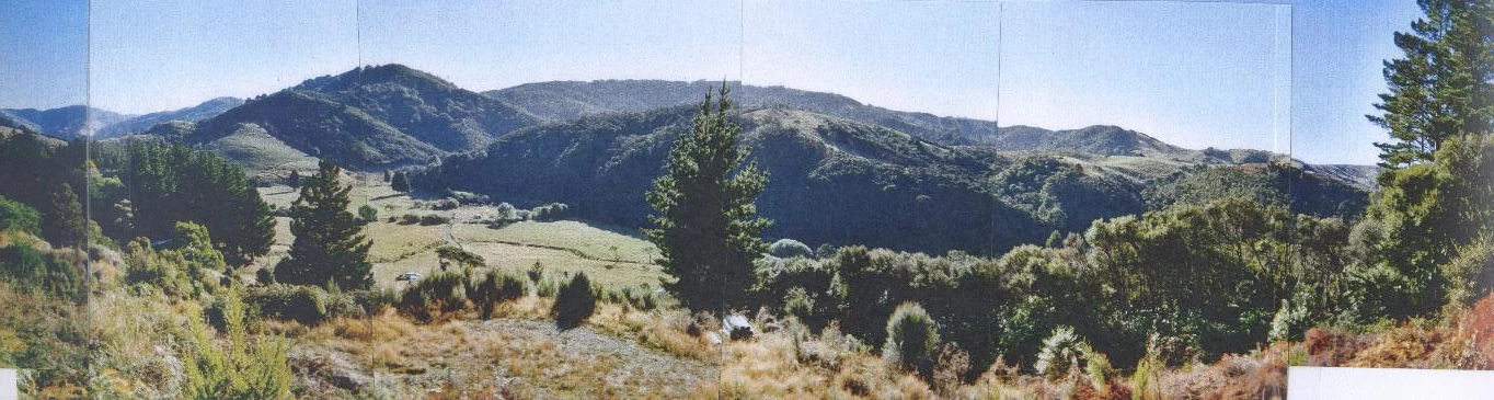 Panoramic view across Whitemans Valley from the Nicholls property