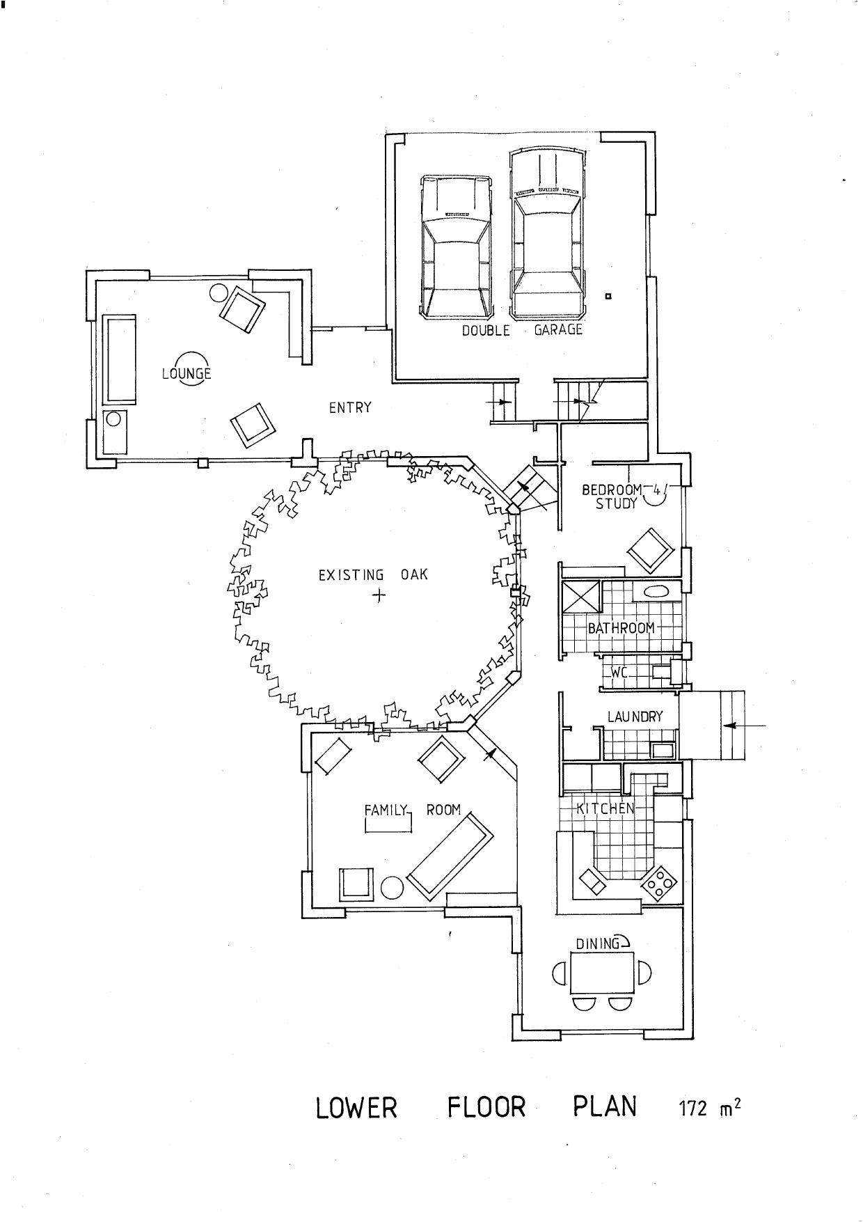 Lower floor plan for Oak Tree House, Auckland, showing the house arranged around the existing oak